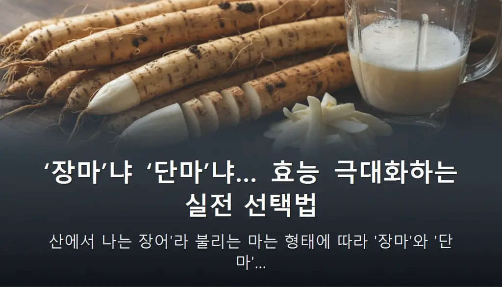 ‘장마’냐 ‘단마’냐… 효능 극대화하는 실전 선택법 — 산에서 나는 장어'라 불리는 마는 형태에 따라 '장마'와 '단마'…