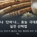 ‘장마’냐 ‘단마’냐… 효능 극대화하는 실전 선택법 — 산에서 나는 장어'라 불리는 마는 형태에 따라 '장마'와 '단마'…